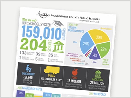 fast fact sheet