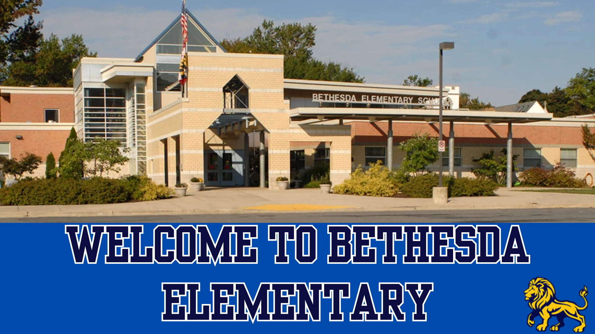 Carousel Background.png