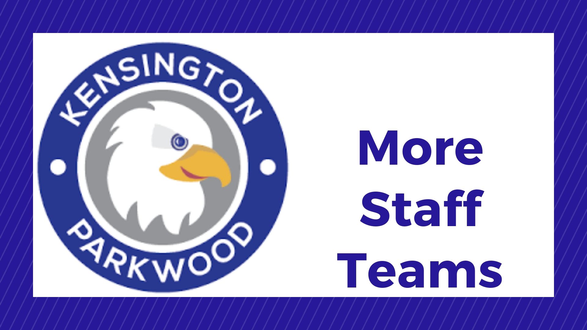 More Staff Teams