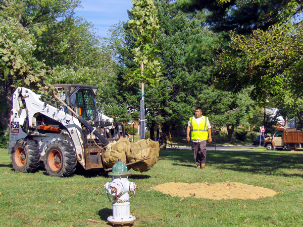 Volunteers from Tower Companies planting trees around Loiederman